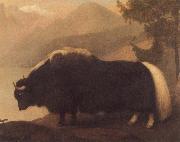 George Stubbs Yak oil painting picture wholesale